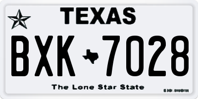 TX license plate BXK7028