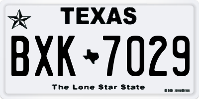 TX license plate BXK7029