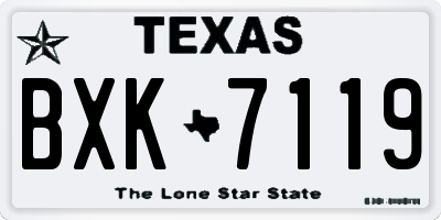 TX license plate BXK7119