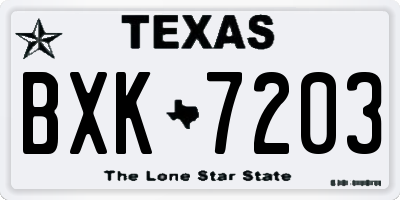TX license plate BXK7203