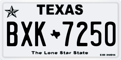TX license plate BXK7250