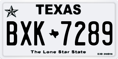 TX license plate BXK7289