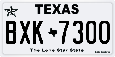 TX license plate BXK7300