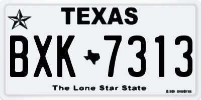 TX license plate BXK7313