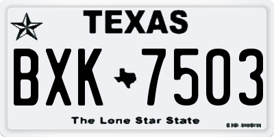 TX license plate BXK7503