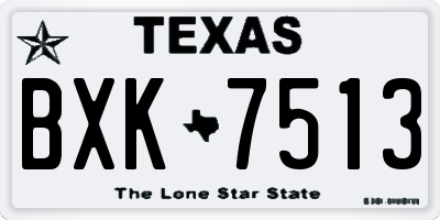 TX license plate BXK7513