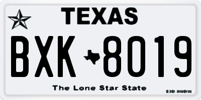 TX license plate BXK8019