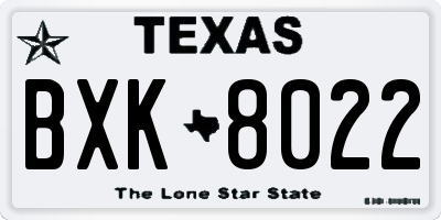 TX license plate BXK8022