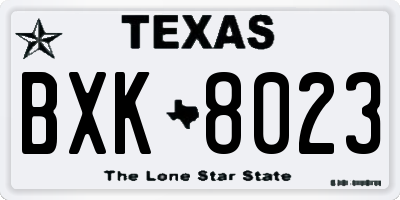 TX license plate BXK8023