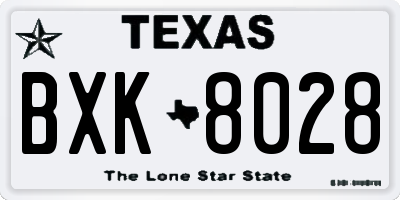 TX license plate BXK8028