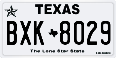 TX license plate BXK8029
