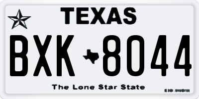 TX license plate BXK8044