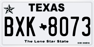 TX license plate BXK8073
