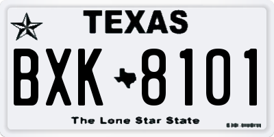TX license plate BXK8101