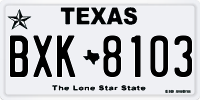 TX license plate BXK8103