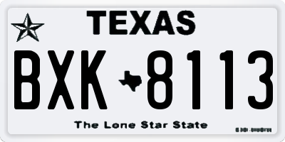 TX license plate BXK8113
