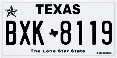 TX license plate BXK8119