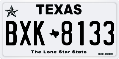 TX license plate BXK8133