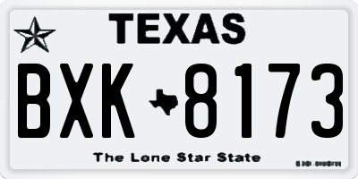 TX license plate BXK8173