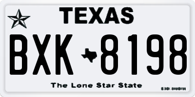 TX license plate BXK8198