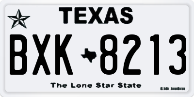 TX license plate BXK8213