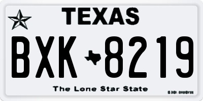 TX license plate BXK8219