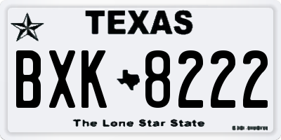 TX license plate BXK8222