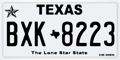 TX license plate BXK8223