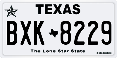 TX license plate BXK8229