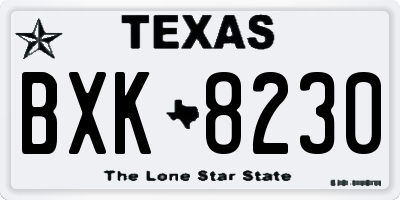 TX license plate BXK8230