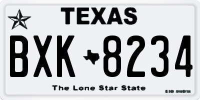TX license plate BXK8234
