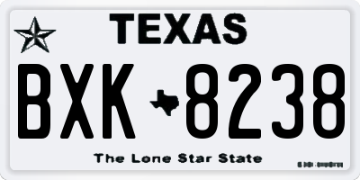 TX license plate BXK8238