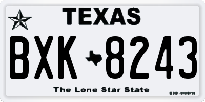 TX license plate BXK8243