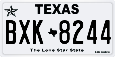 TX license plate BXK8244