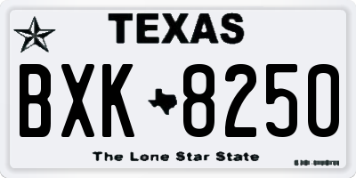 TX license plate BXK8250