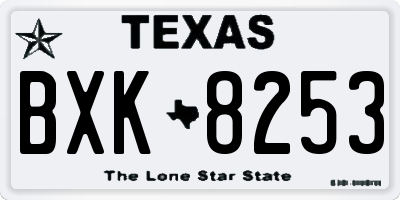 TX license plate BXK8253