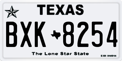 TX license plate BXK8254