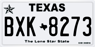 TX license plate BXK8273