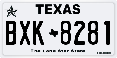 TX license plate BXK8281