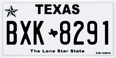 TX license plate BXK8291