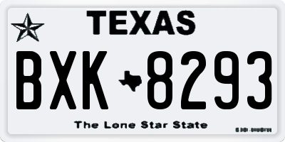 TX license plate BXK8293