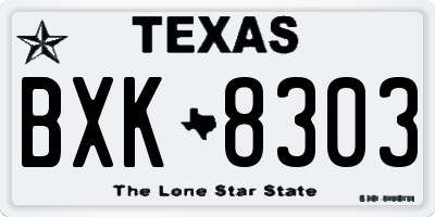 TX license plate BXK8303