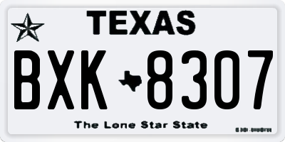 TX license plate BXK8307