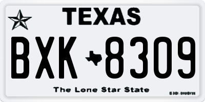 TX license plate BXK8309