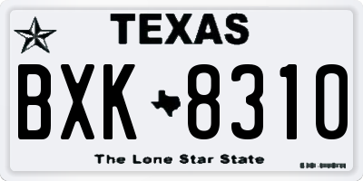 TX license plate BXK8310