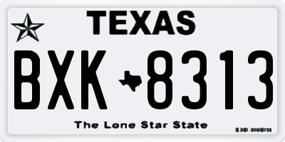 TX license plate BXK8313