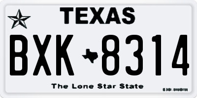 TX license plate BXK8314