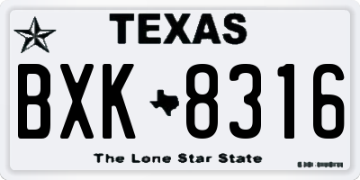 TX license plate BXK8316