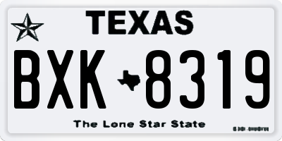 TX license plate BXK8319