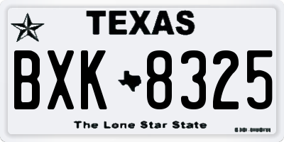 TX license plate BXK8325